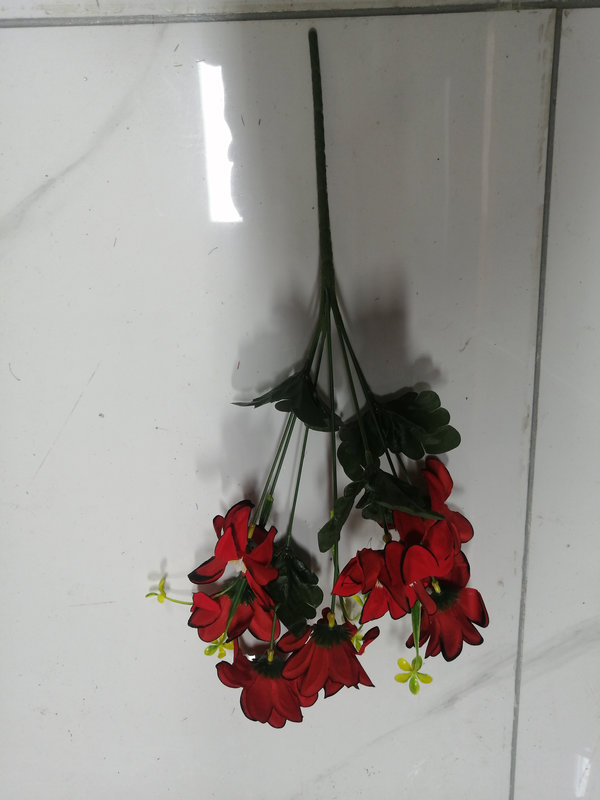 IMG_20260304_092619_ЦВ_800х600.jpg