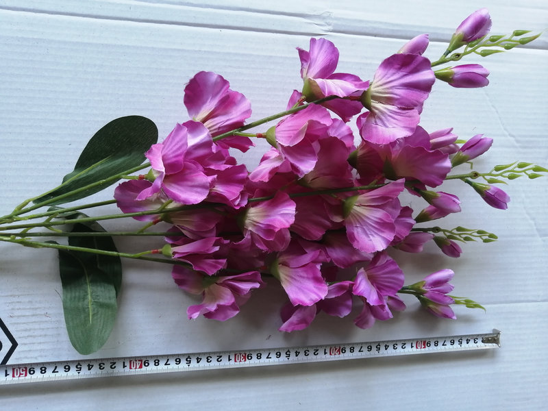IMG_20260218_140258_ЦВ_800х600.jpg