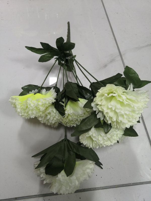 IMG_20260304_100459_ЦВ_800х600.jpg
