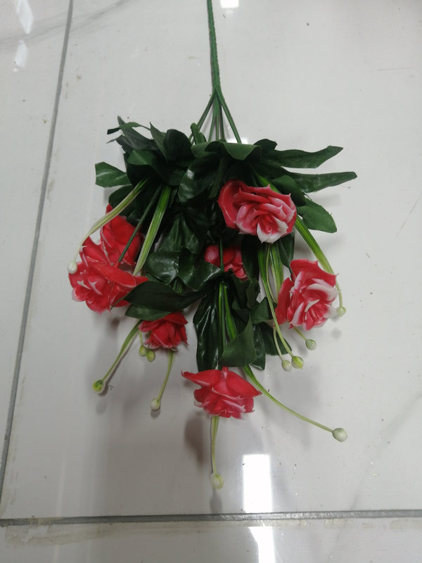 IMG_20260304_092303_ЦВ_800х600.jpg