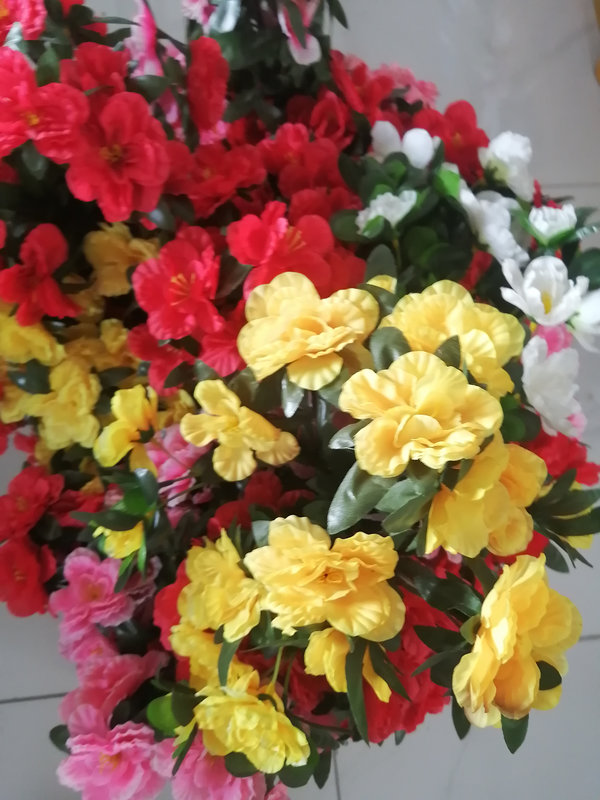 IMG_20260303_124135_ЦВ_800х600.jpg