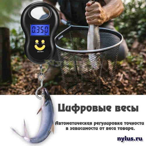 mini_Digital_Scale_canter_7-500x500.jpg