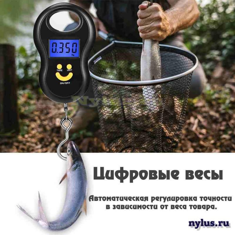 mini_Digital_Scale_canter_7-800x800.jpg