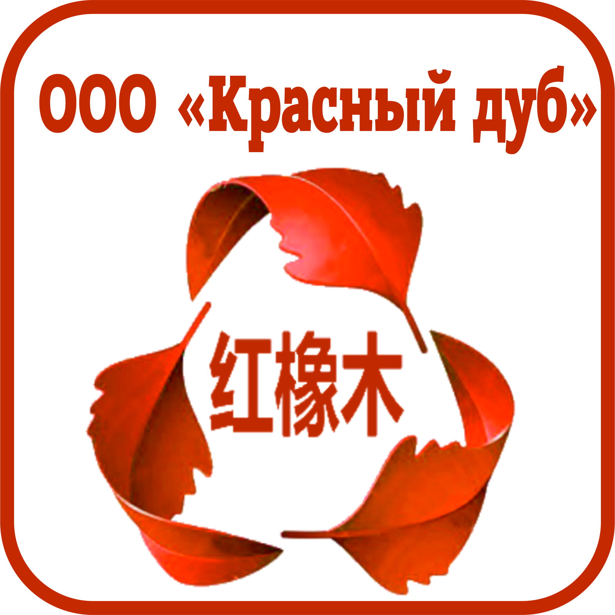 Логотип ООО Красный дуб | 红橡木