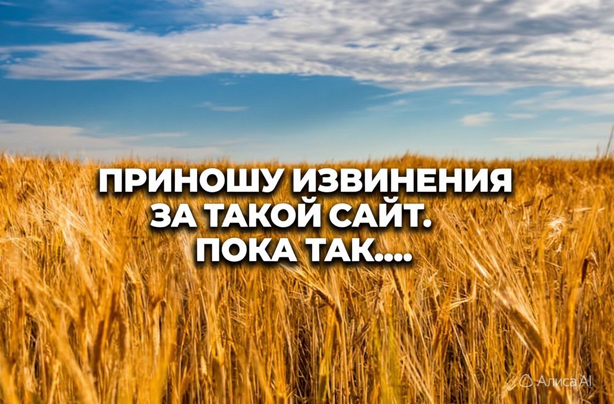 Сообщение